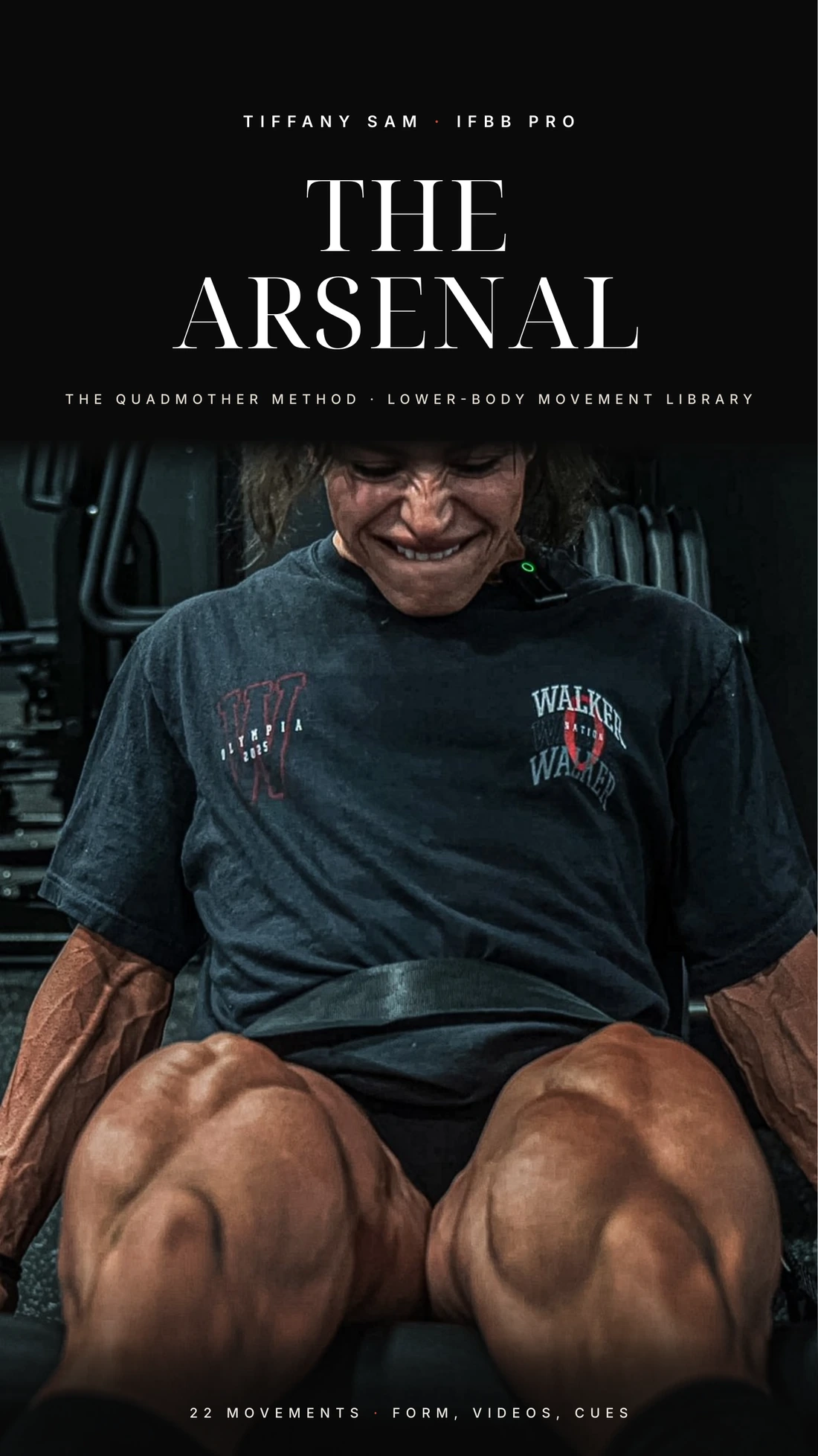 The Arsenal cover