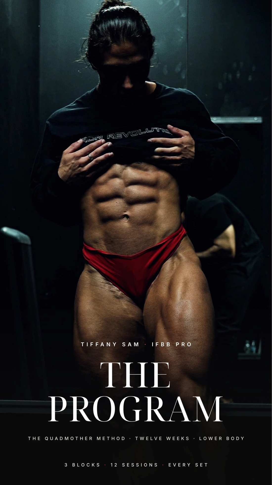 The Program cover